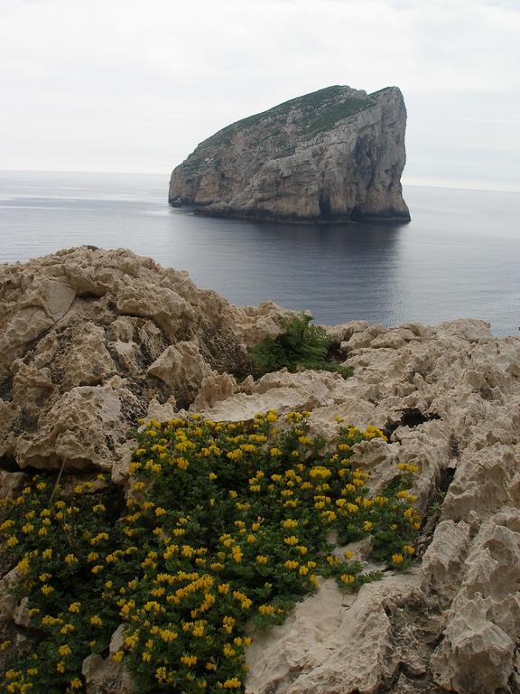 Giramondo Sardegna Affittacamere Alghero Exteriér fotografie