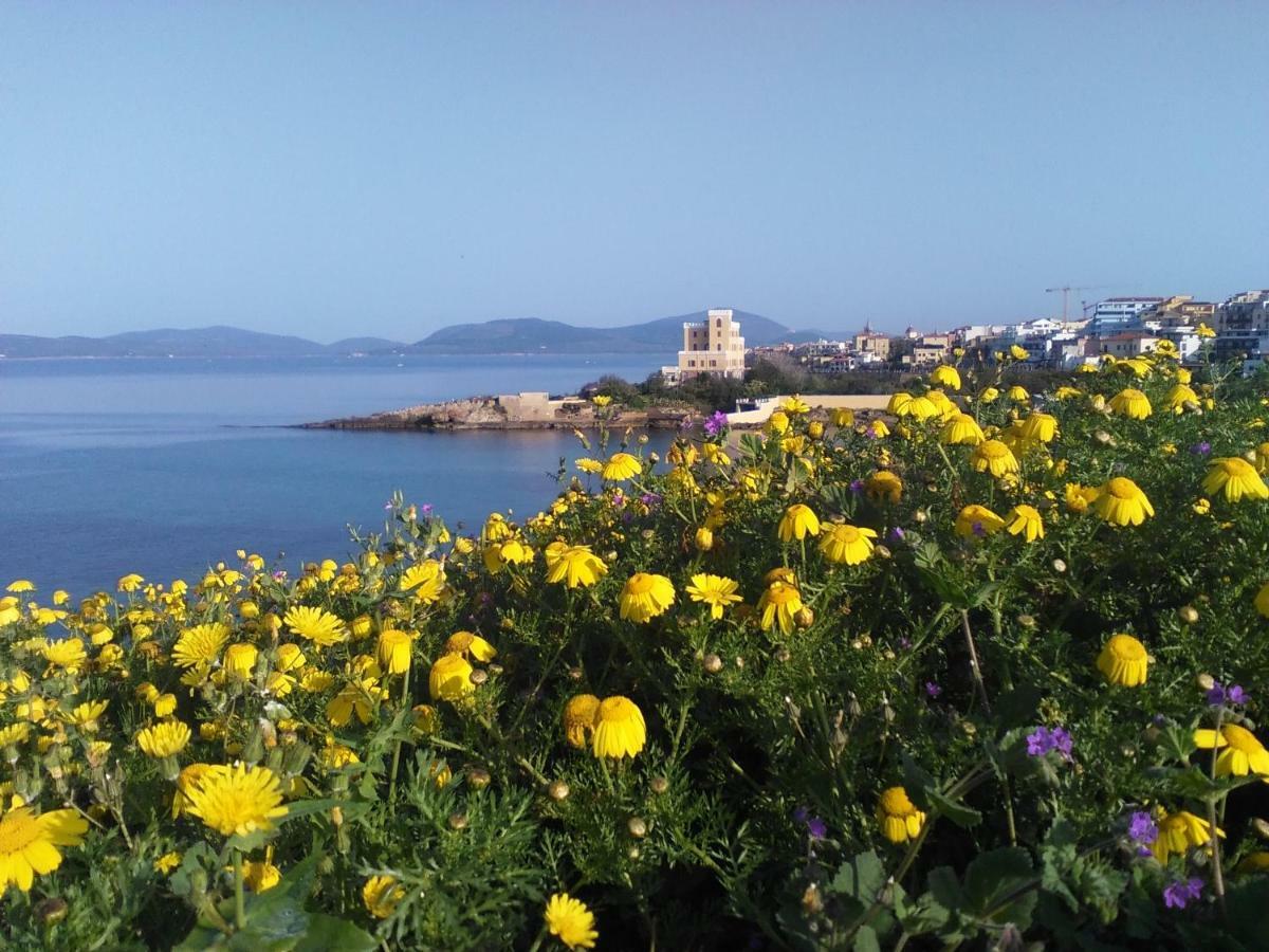 Giramondo Sardegna Affittacamere Alghero Exteriér fotografie