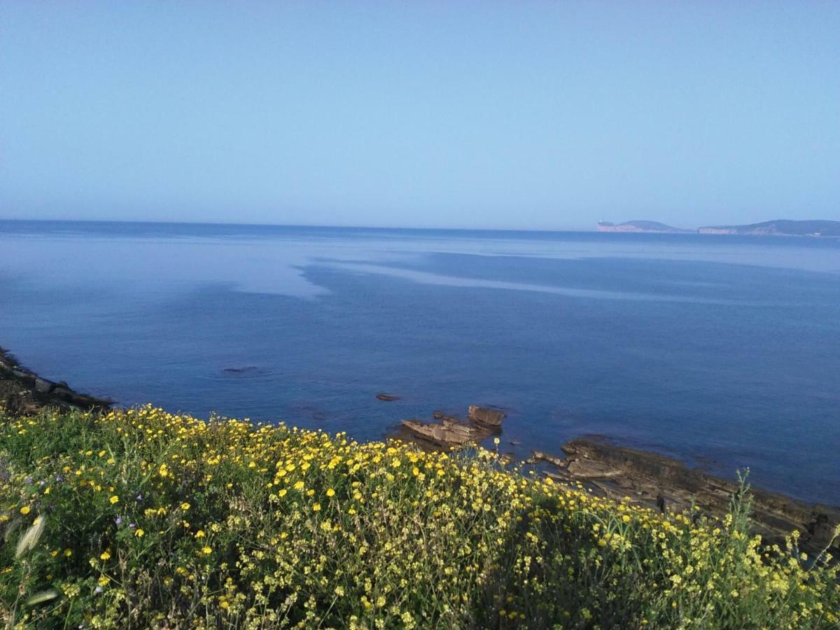 Giramondo Sardegna Affittacamere Alghero Exteriér fotografie